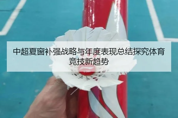 中超夏窗补强战略与年度表现总结探究体育竞技新趋势